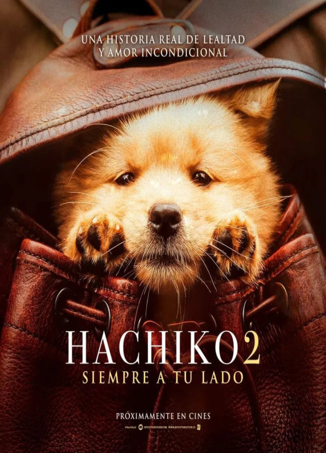 Hachiko 2: Siempre a tu lado Latino