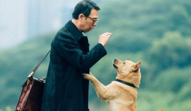 Foto Dorama Hachiko: Una Historia Verdadera